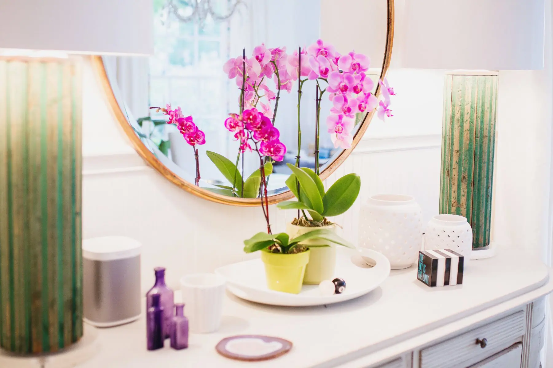 View More: http://traciling.pass.us/carlylee