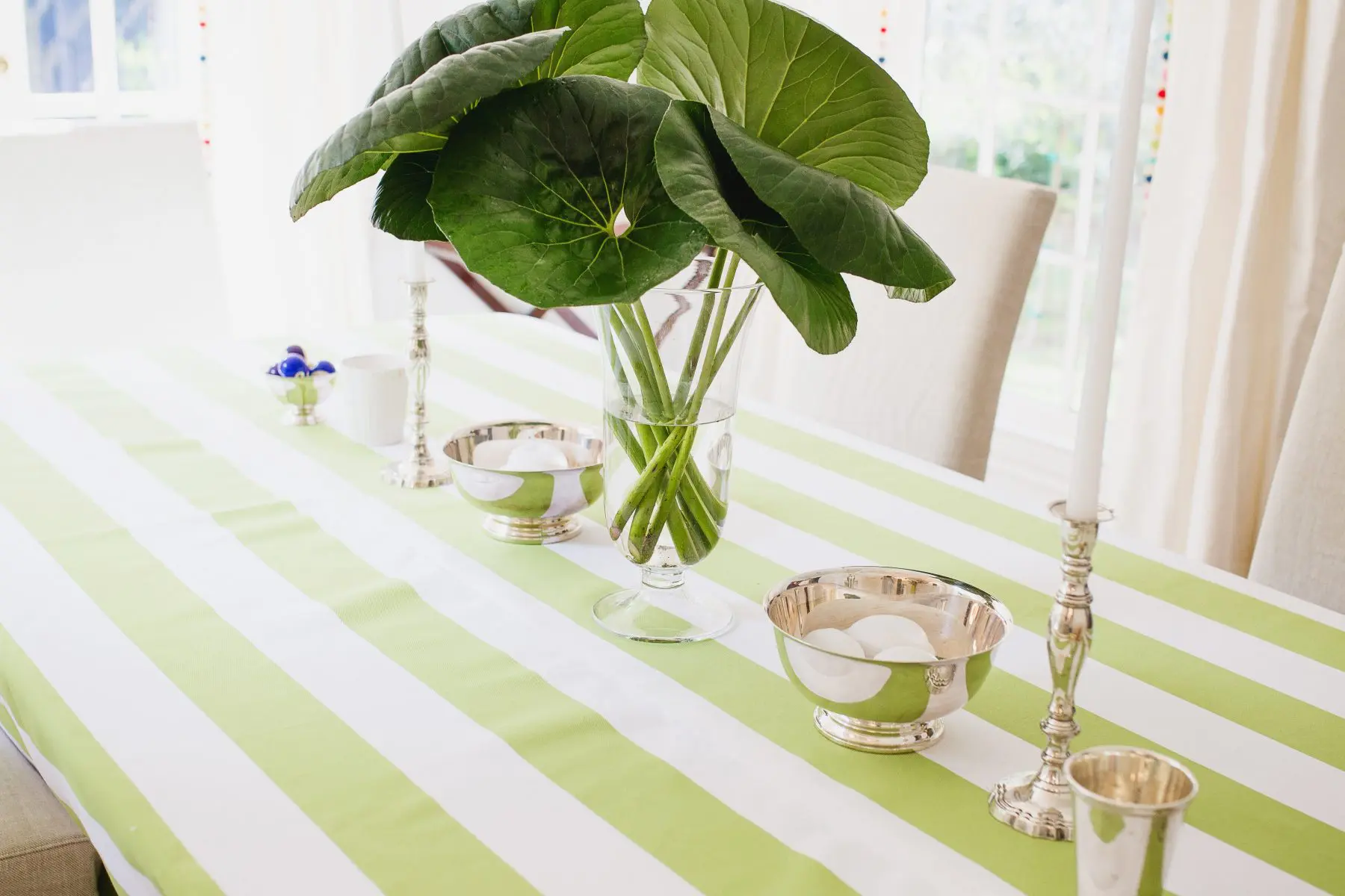 View More: http://traciling.pass.us/carlylee