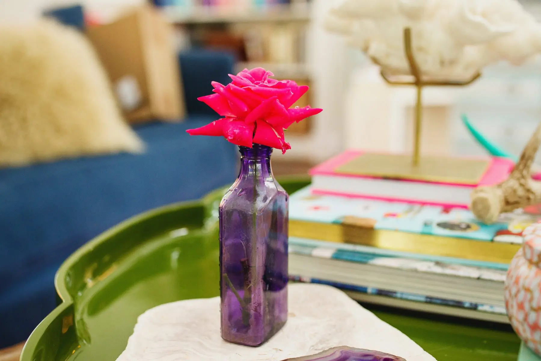 View More: http://traciling.pass.us/carlylee